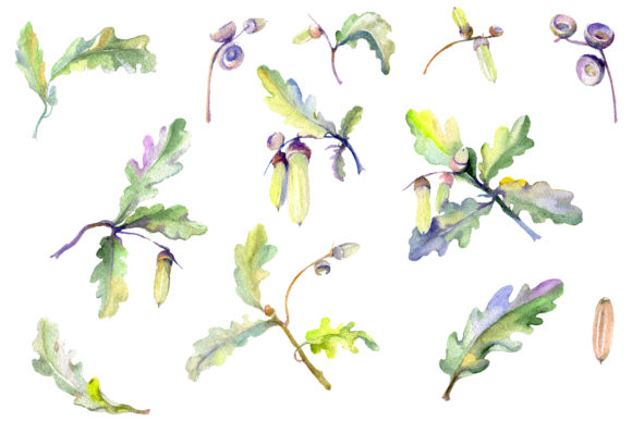 Acorn Watercolor: A Subtle Elegance for Embroidery Projects