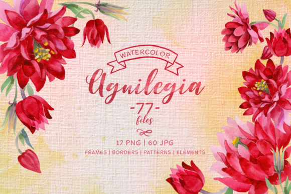 Aguilegia Cool Flower Watercolor Set Review for Handmade Creators