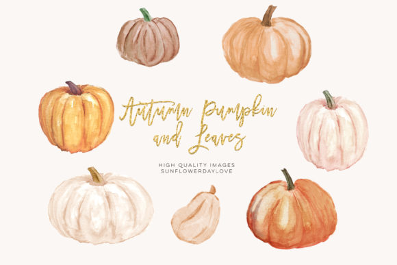 Autumn Pumpkin Watercolor Clipart and Illustrations