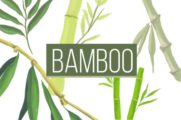 Bamboo Watercolor Drawing: A Fresh Illustration for Local Business Branding
