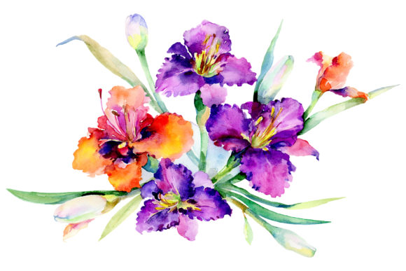 Bouquet Freesia Watercolor: A Versatile Illustration for Digital Sellers