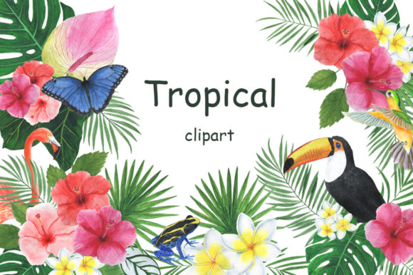 Clipart Tropical Watercolor Illustration