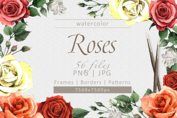 Colorful Roses Watercolor Set Review for Real Embroidery Projects