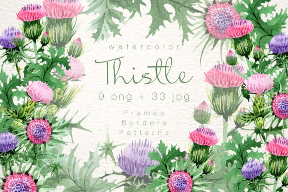 Cool Thistle Watercolor Set: A Versatile Illustration for Handmade Creators
