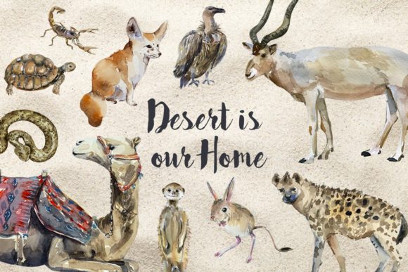 Desert Animals - Watercolor Clip Art Review