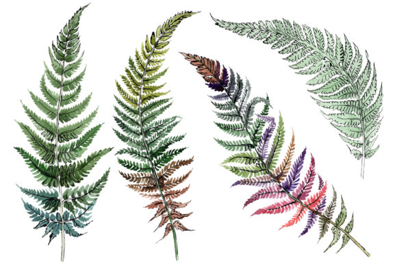 Fern Plant Watercolor Embroidery Design Review
