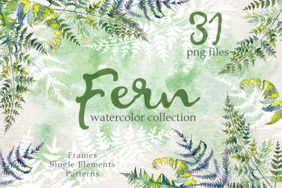 Fern Watercolor Illustrations for Local Business Branding