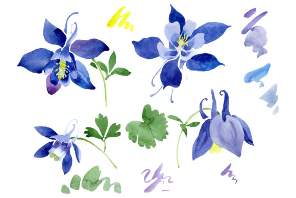 Flowers Set Watercolor Review for Real Projects