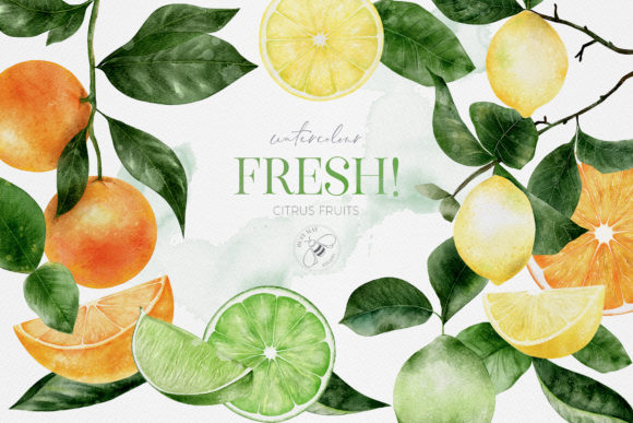 Fruit Watercolour Citrus Fruit Lemons for Professional Branding