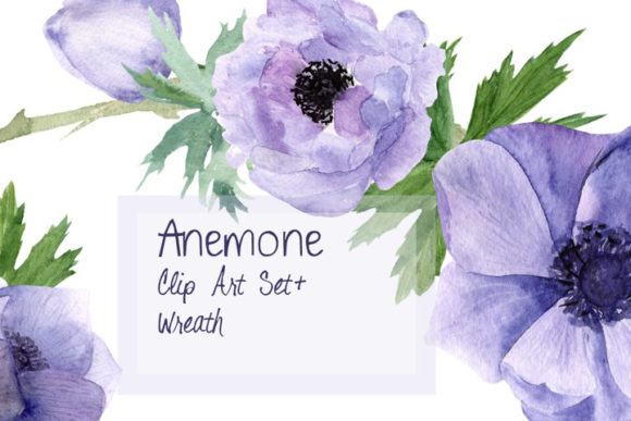 Purple Anemone Watercolor Clip Art Set Review for Marketing and Branding