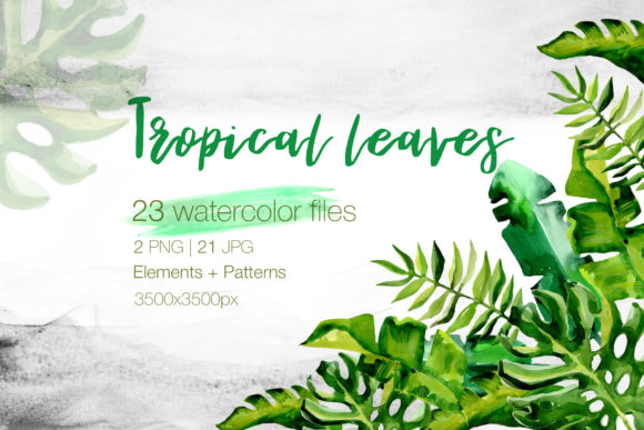 Succulent Tropical Leaves Watercolor Set Review for Professional Designers