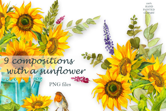Sunflower Watercolor Clipart Summer Boho Illustrations