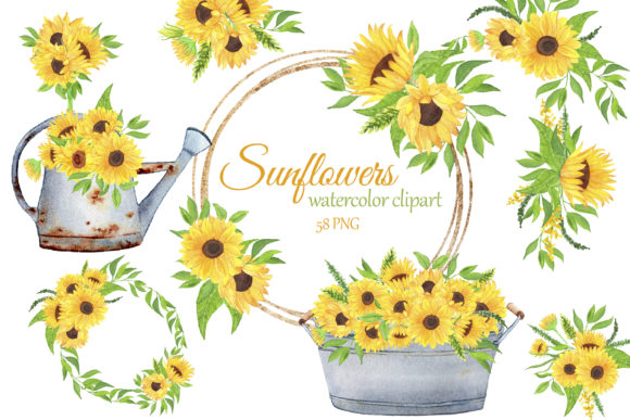Sunflowers Watercolor Clipart and Illustrations