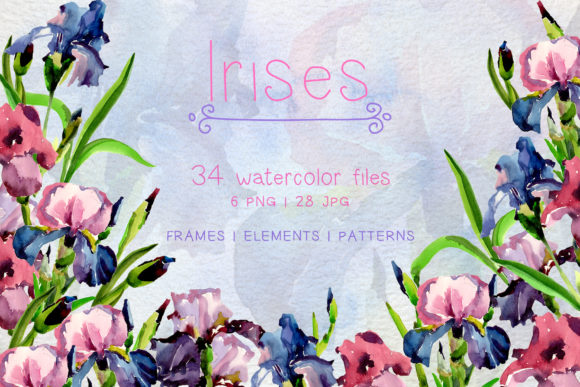 Tender Irises Watercolor Set Review for Digital Product Creators