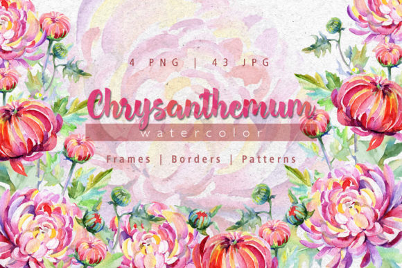 Tender Pink Chrysanthemum Watercolor Set for Crafting and Illustrations