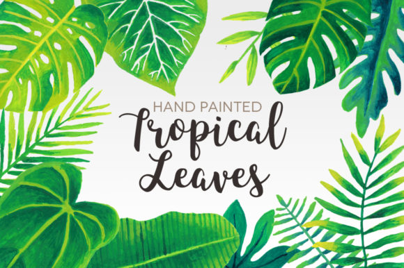 Tropical Leaves Watercolor Clip Art: A Designer’s Honest Take