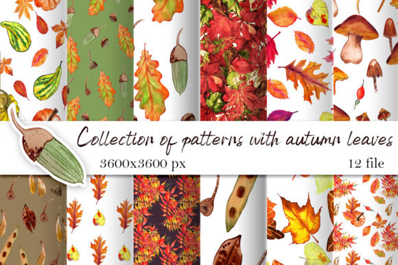 Watercolor Autumn Digital Paper for Crafting & Illustrations