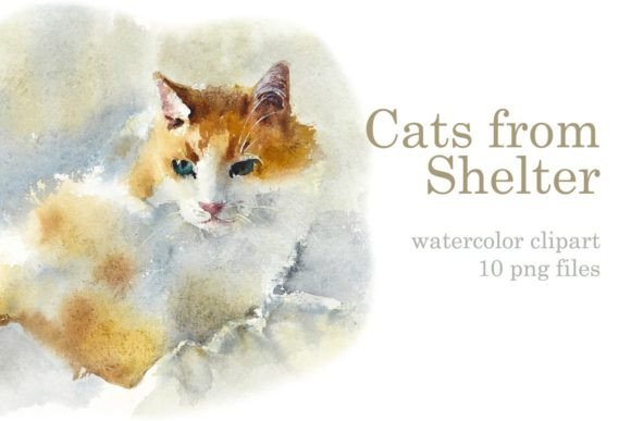 Watercolor Cats from a Shelter Illustrations