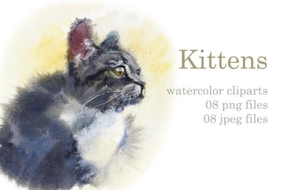 Watercolor Fluffy Cute Kittens Illustrations