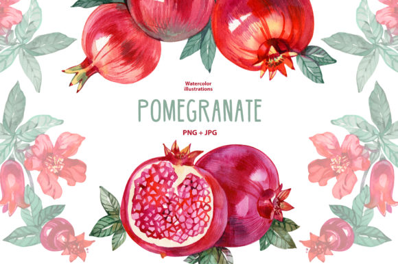 Watercolor Pomegranate Illustrations for Digital Sellers