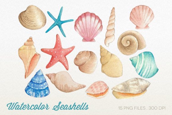 Watercolor Seashells Clipart: A Versatile Illustration for Creative Publishing