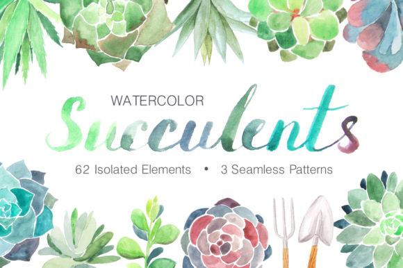 Watercolor Succulents Collection: A Versatile Illustration Set for Creative Branding