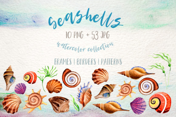 Watercolor Summer Beach Seashell Set Review for Real Embroidery Projects