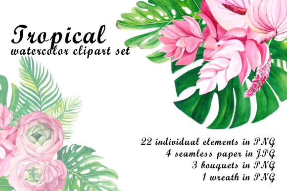 Watercolor Tropical Clip Art and Illustrations
